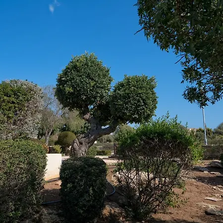 Villa 3 Bedroom Lefkara With Private Infinity Pool, Aphrodite Hills Kouklia